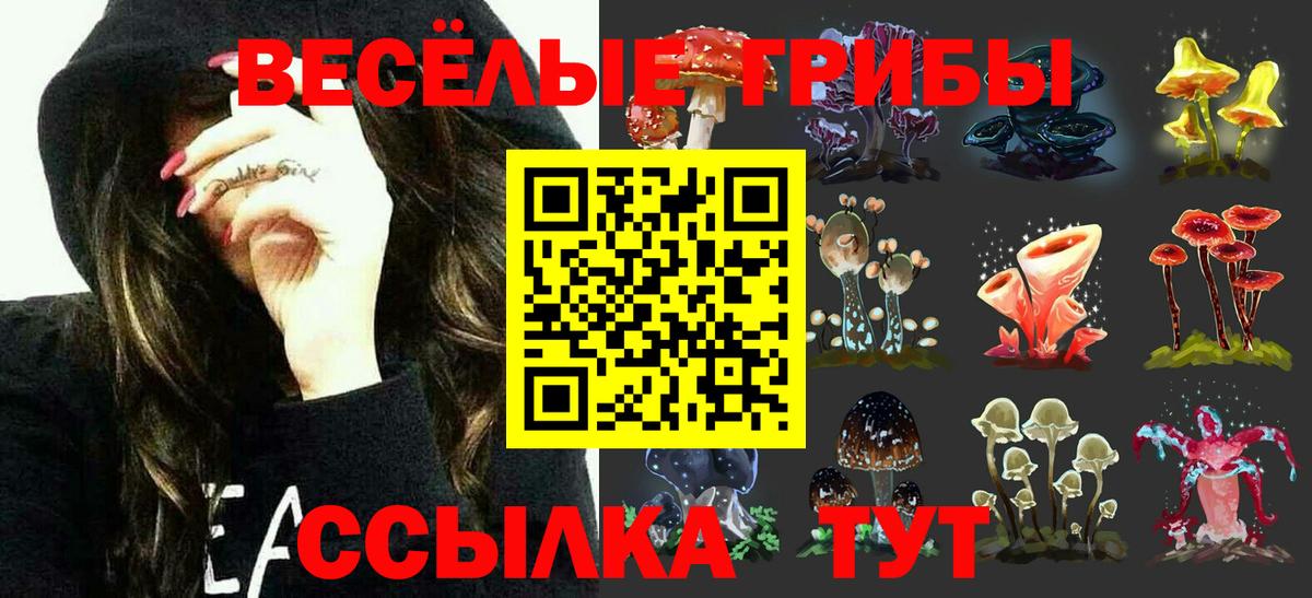 Галлюциногенные грибы MAGIC MUSHROOMS Новосибирск