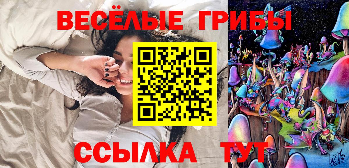 Галлюциногенные грибы GOLDEN TEACHER  Вход с VPN  где найти наркотики  Новосибирск  Галлюциногенные грибы Psilocybe 